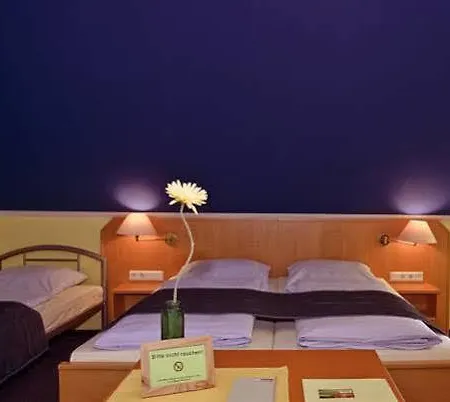 Vicus Guest house 3*